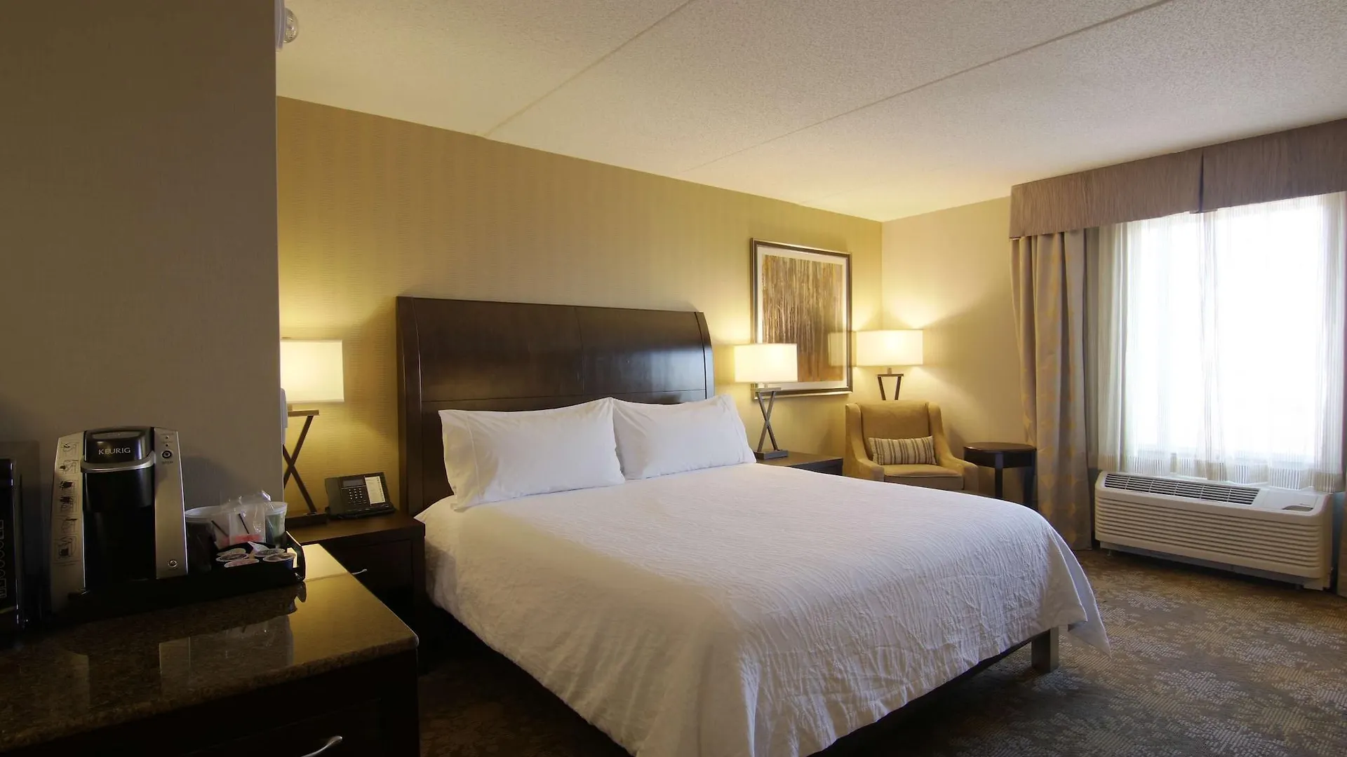 Hilton Garden Inn Toronto/Brampton 3*, Brampton